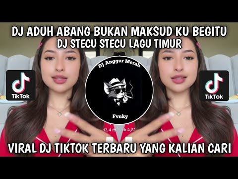 DJ ADUH ABANG BUKAN MAKSUDKU BEGITU || DJ STECU STECU LAGU TIMUR || DJ VIRAL TIKTOK YANG KALIAN CARI