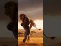 León Vs Gorilla, quién gana #gorila #leon #quiengana