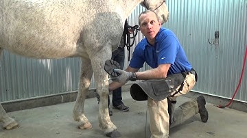 Easyboot Flip Flop Application Guide