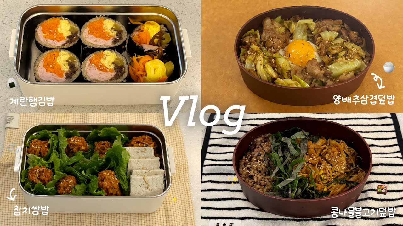 Vlog │ 집에 있는 재료로 후다닥🍱✨ 익숙해서 더 맛있는 직장인 점심 도시락 │ 콩나물불고기덮밥, 계란샌드위치햄김밥, 참치쌈밥, 대패삼겹양배추덮밥