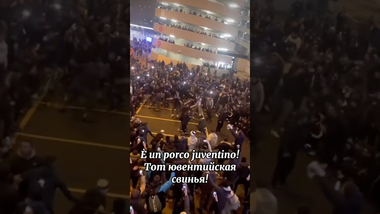 Предпросмотр