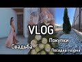 VLOG#СВАДЬБА / ПОКУПКИ / САЖАЮ ГАЗОН. Запорожская Анна.