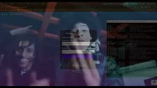 phantom c2 vs flexynode gamepanel
