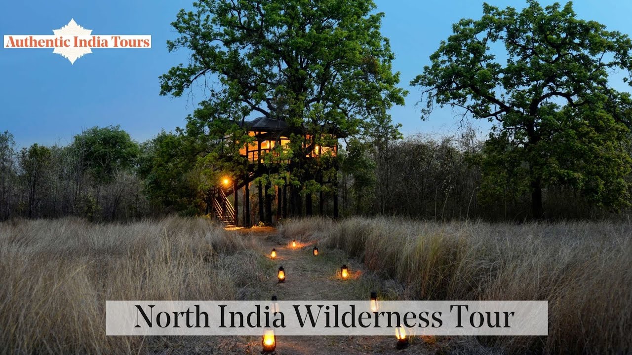 North India Wilderness Tour