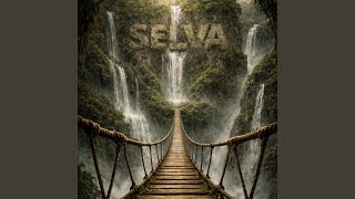 Selva