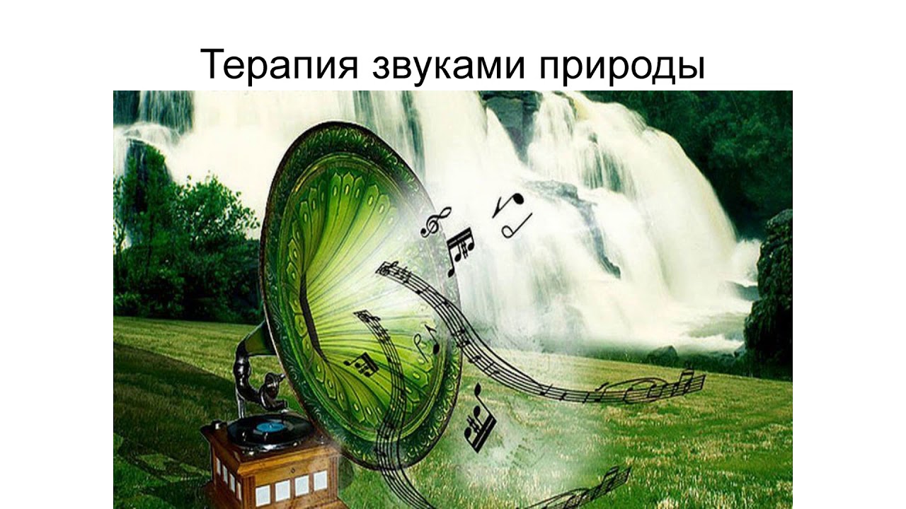 Проект эра мои гармоники