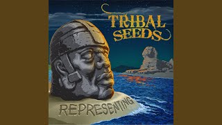 Video thumbnail of "Tribal Seeds - Lonely Night"