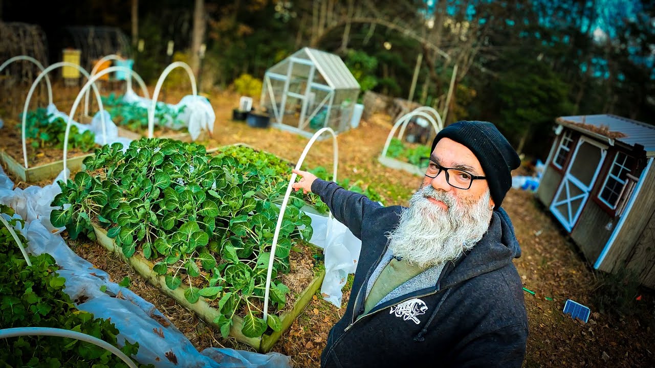 What seeds to Start in January