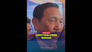 RESPONS LUHUT Soal Utang Kereta Cepat Whoosh : Tak Ada Publik Transportasi yang Menguntungkan