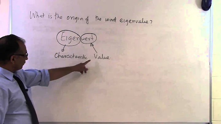 Chapter 04.10: Lesson: What is the Origin of the Word Eigenvalue?