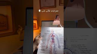 عشوائيات طالب طب - كلية طب القاهرة