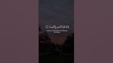 قارئ ياسر الدوسري سورة غافر#أطمئن#قران_كريم#quran_alkarim#islamic_video#اكسبلور#follow#fyp#لايك#fyp