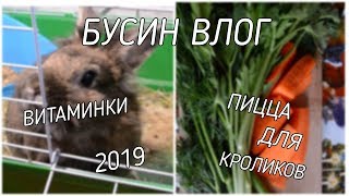 БУСИН ВЛОГ/ПРОБУЕТ ПИЦЦУ/2019