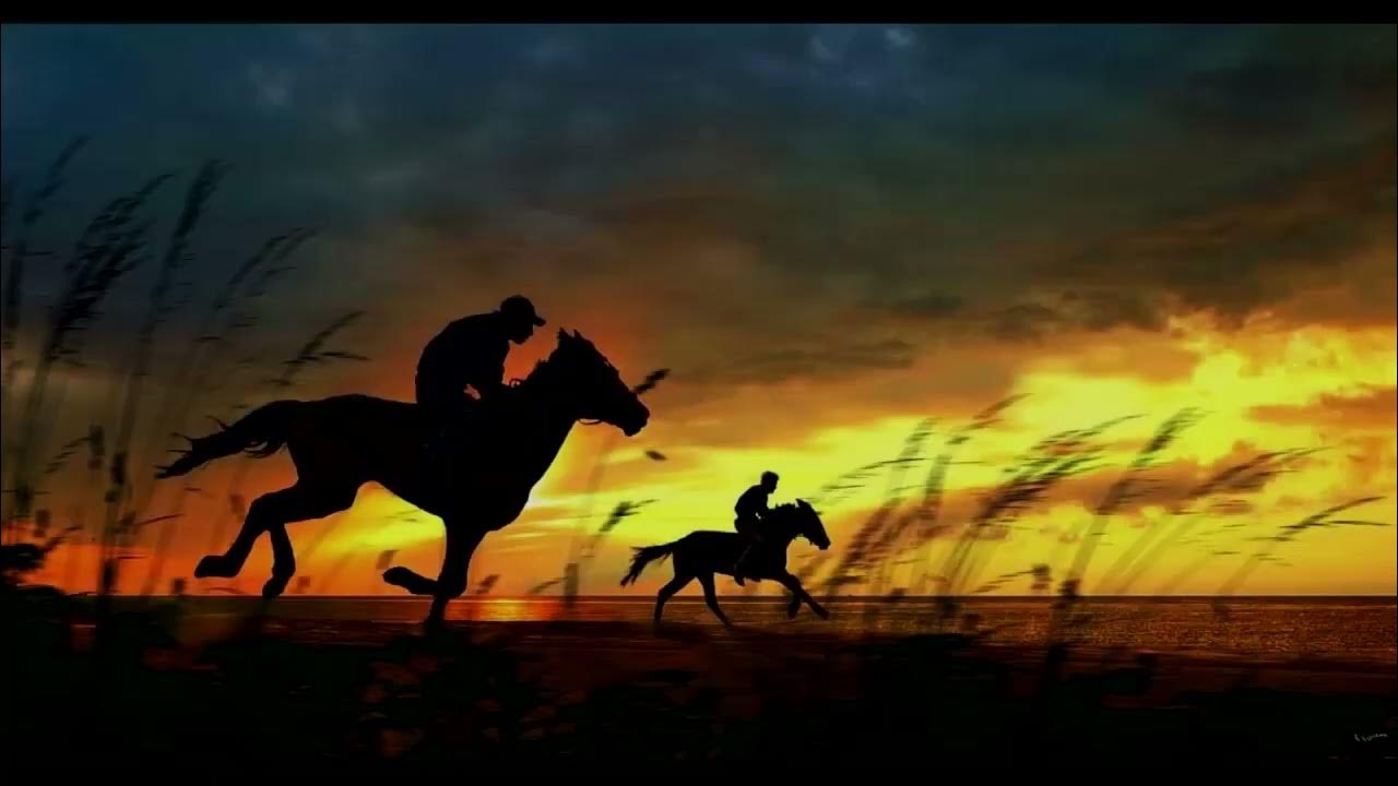 мужчина на лошади. ростовская область степь казак. текст песни любимый мой лети как вольный ветер текст. флика фильм 2006. лошадь в поле.