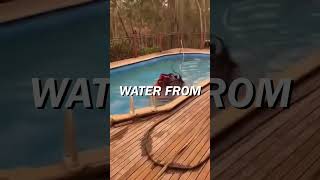 Firefighting helicopter takes water from pool #fire #wildlife