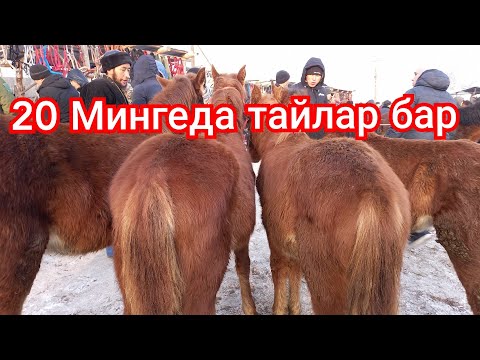 Video: Жыл сайын канча Mac компьютерлери сатылат?