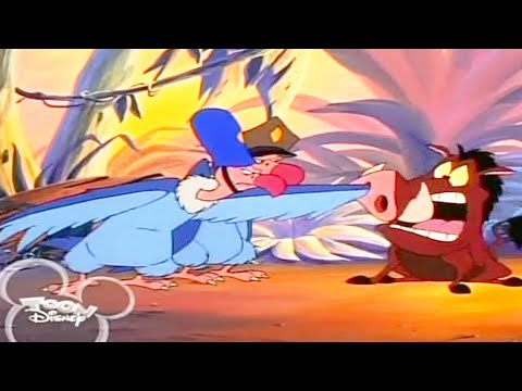 Timon & Pumbaa Season 1x30B - I Don't Bolivia Full Episode