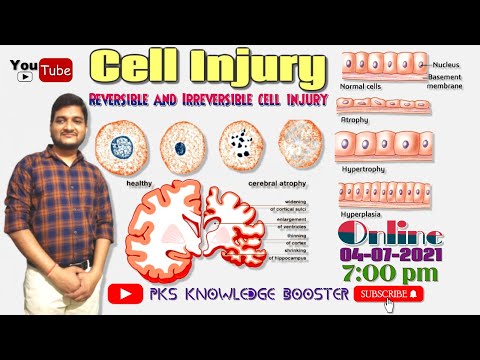 Pathophysiology (Part-IV) (Reversible and Irreversible cell Injury)
