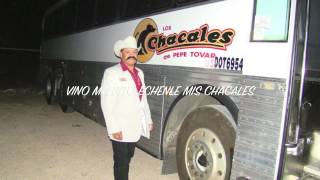 Los Chacales De Pepe Tovar,Vino Maldito chords