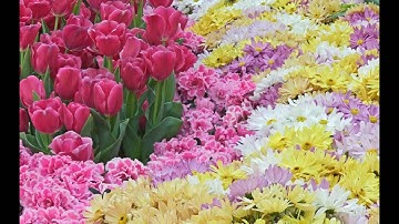 Ibrahim Jibreen - Surat Ghafir - 3/3 - سورة غافر