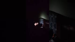 Ekta Daily Official Blog 2.O Is Live