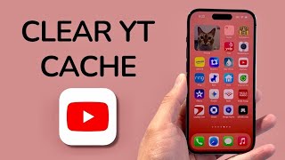 Information How To Clear YouTube Cache On iPhone News