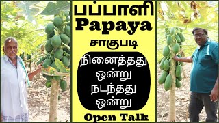 Do not cultivate papaya without watching this video |Pappali Sagupadi | Papaya Cultivation | Eden