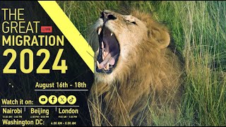 The Great Mara Migration Cgtns Lens In The Maasai Mara