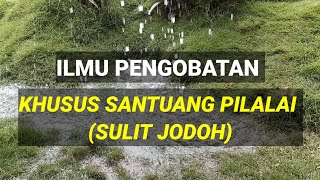 Download Lagu ILMU PENGOBATAN KHUSUS SANTUANG PILALAI MP3 Download Lagu ILMU PENGOBATAN KHUSUS SANTUANG PILALAI MP3