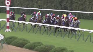 2018 Mile Championship (G1)