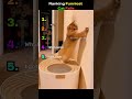 Ranking FUNNIEST Cat FAILS
