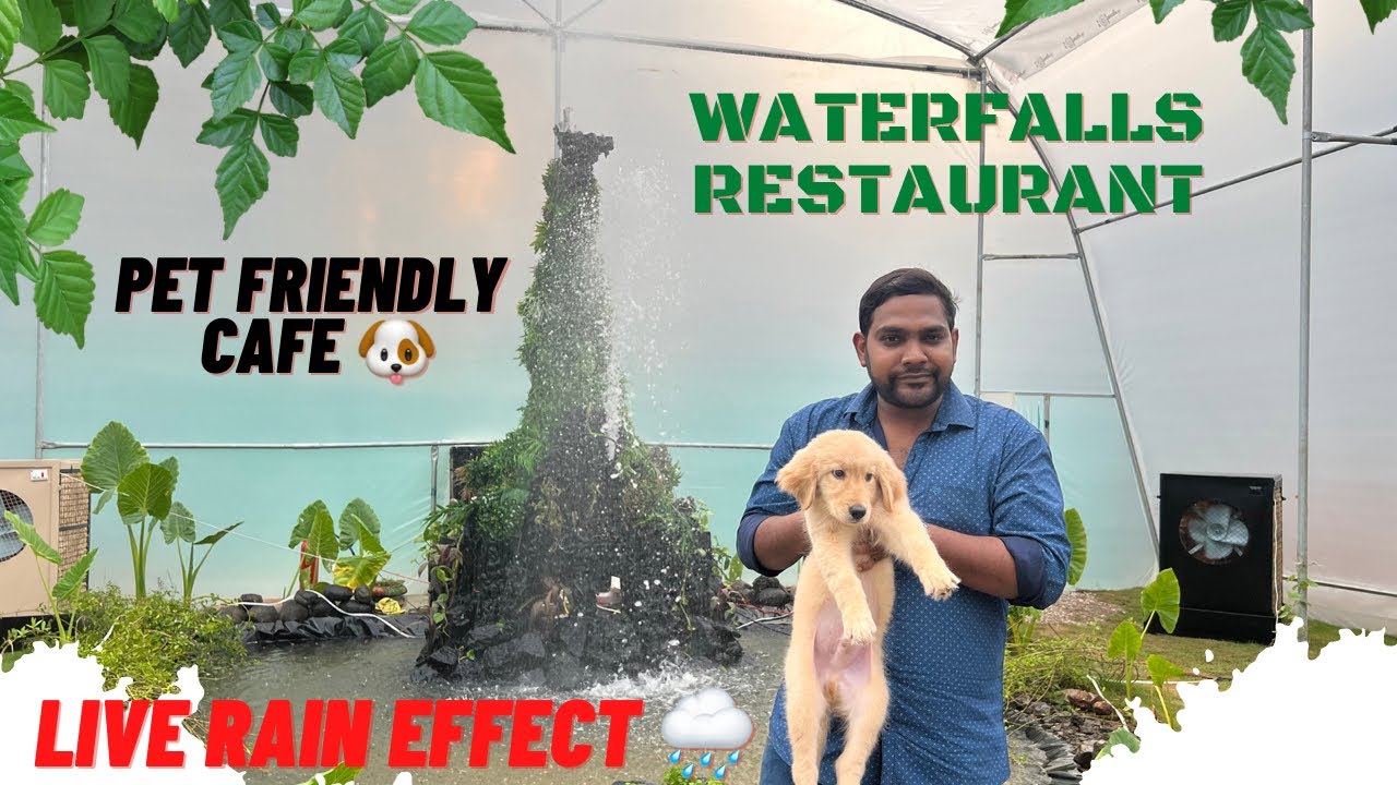 waterfalls-restaurant-in-hyderabad-pawfea-pet-friendly-cafe-live