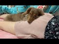 チワックスのお気に入りの場所がこちらです