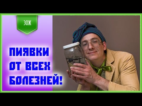 Пиявки - лечим все болезни!