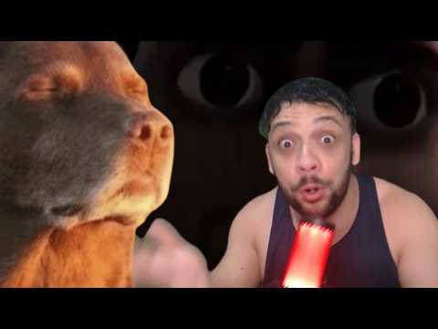 Julgamos os novos shinies do Sr Pokemon Prime | React @salatiel6