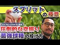 【スプリットの極意】圧倒的に空振り奪う　最強球種の投げ方とは？