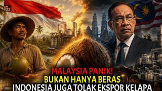 Bukan Hanya Beras Indonesia Stop Jual Kelapa Murah ke Malaysia