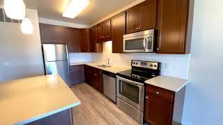 700 UBD - 1 Bedroom + Den Apartment - Madison, WI