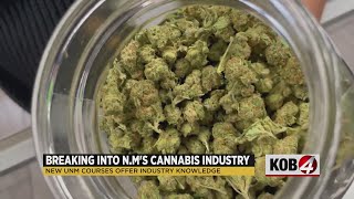 UNM launches online cannabis course