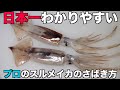 誰でも簡単わかりやすい【スルメイカ】さばき方