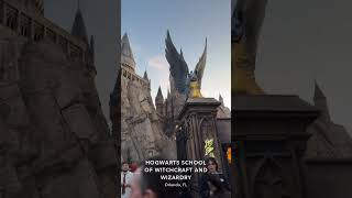 Every Harry Potter fan dream 😍🪄 #harrypotter#hogwarts#universalstudios#orlando