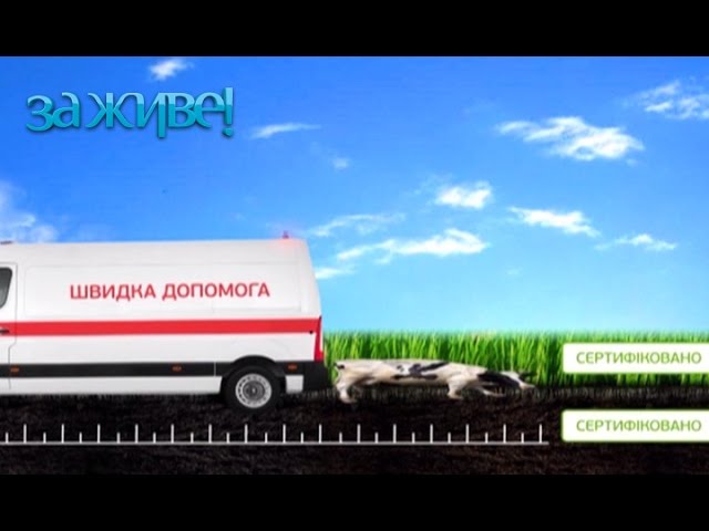 Можно ли прокалывать уши маленьким детям? – За живе! Сезон 4. Выпуск 2 от 28.02.17