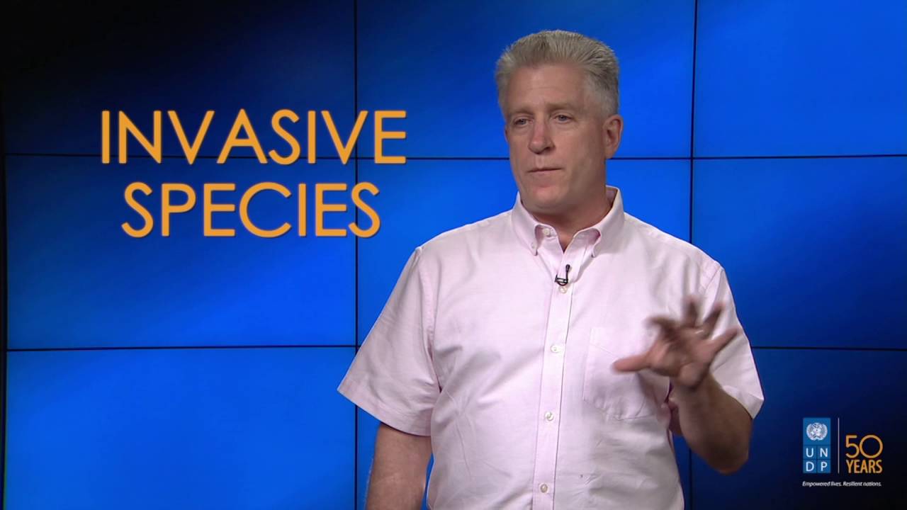 What Are The Biggest Threats To Our Oceans