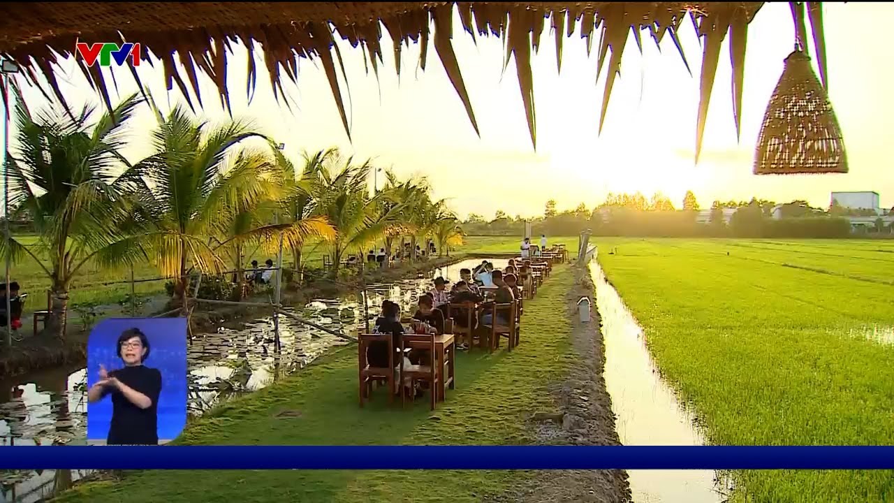 Ngắm hoàng hôn trên ruộng lúa | VTV24 - YouTube