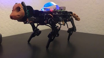 Freenove Quadruped - Robot Cat