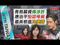 青鳥募款詐欺指控