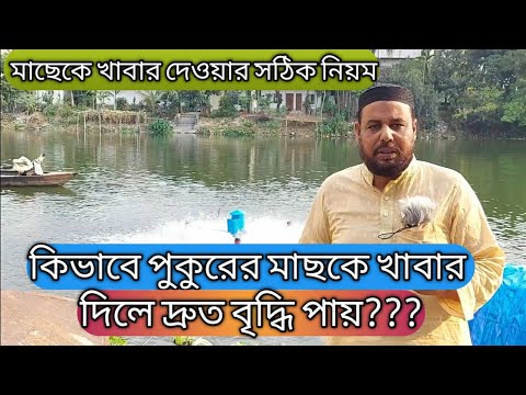 ভিডিও: টিনজাত খাবারে মাছ কী ধরণের