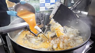 Giant Fried Rice Machine 巨大炒飯マシーン Food Industry Machines in Japan 食品加工機械 餅つき機 チャーハン 中井機械工業