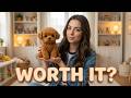 Froplay Toy Dog Review: Should You Get It?