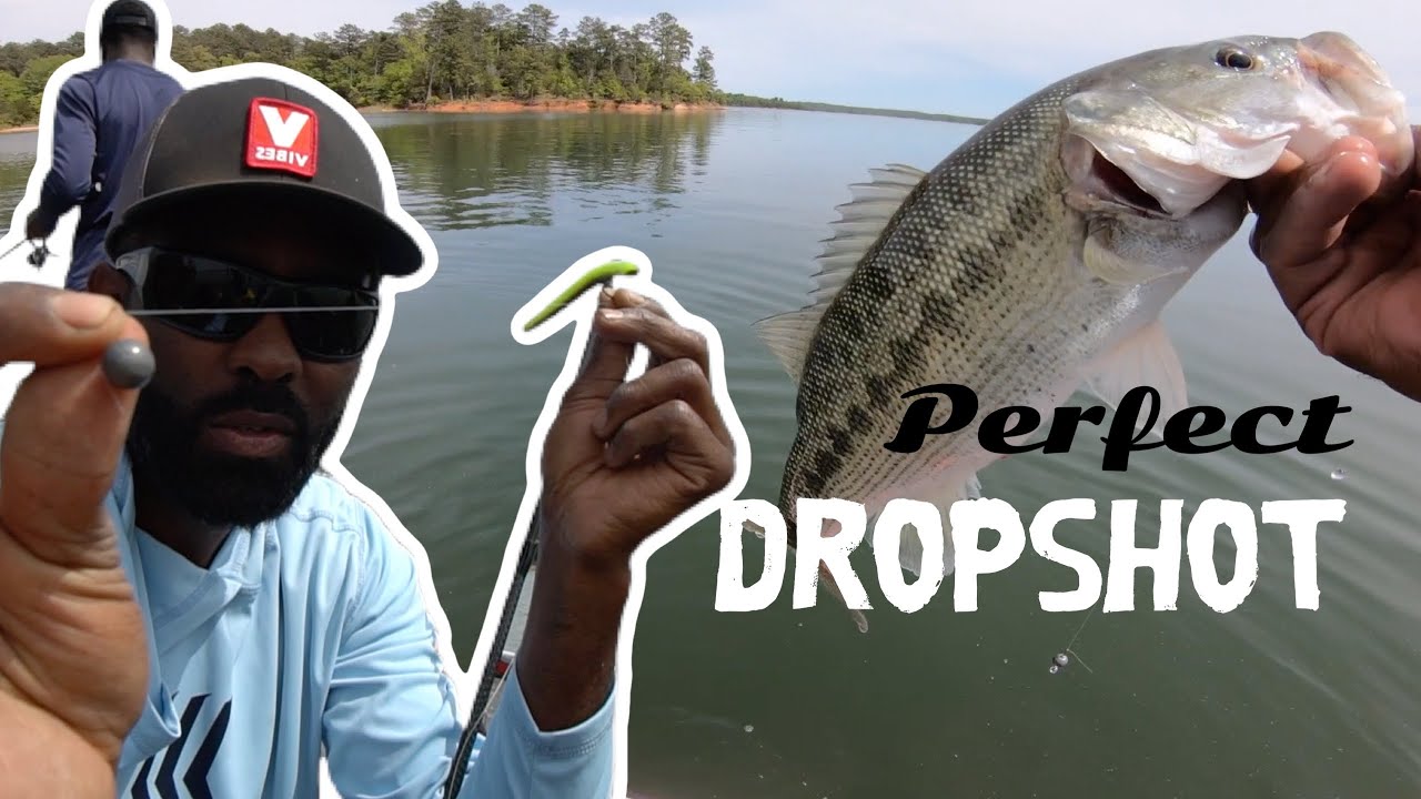 The Perfect Dropshot Combo — ( BassFishing Tips ) 